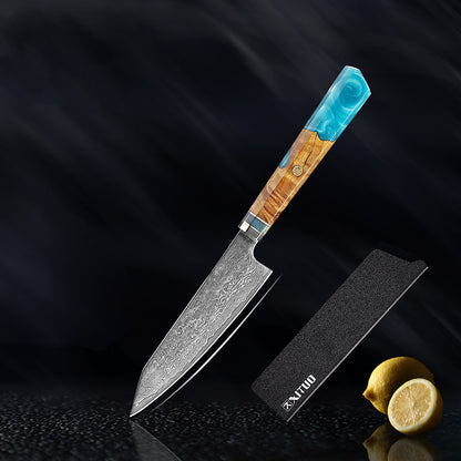 Clovoshop Damascus Steel Kitchen Knife Set – Chef & Santoku Knife